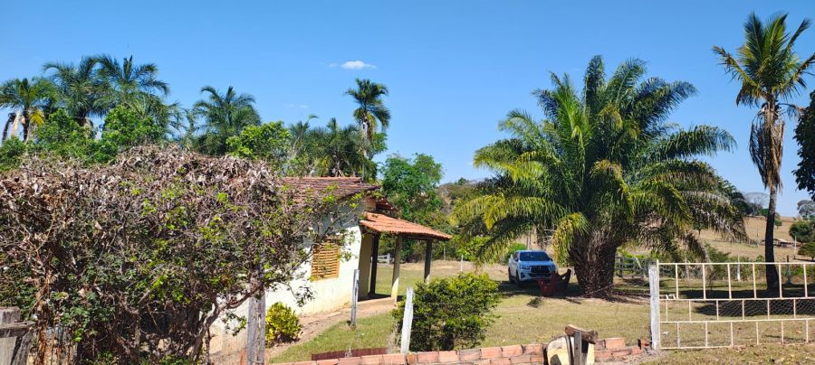 Fazenda - Venda - Zona Rural - Jespolis - GO