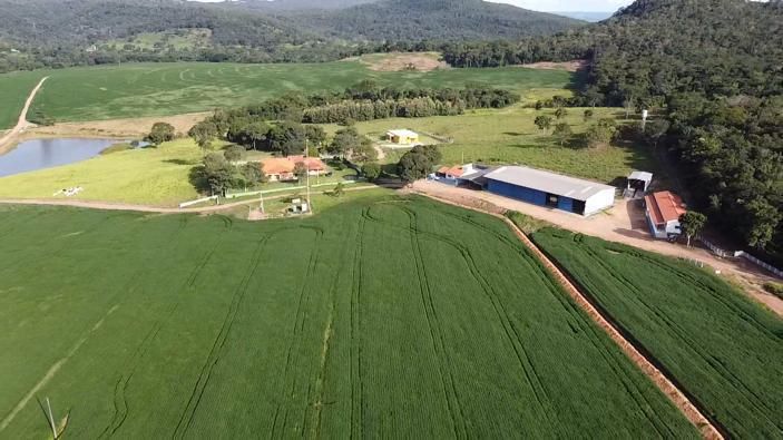 Fazenda - Venda - Zona Rural - So Francisco de Gois - GO